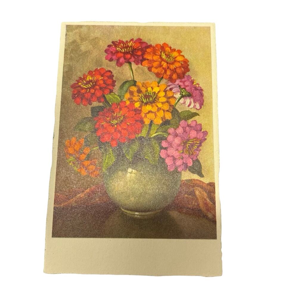 Lot of 13 Flowers Stehli Vintage Swiss Floral Postcards Unused Botanical - Picture 7 of 16